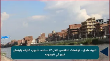 تنبيه عاجل.. توقعات الطقس خلال 72 ساعة: شبورة كثيفة وارتفاع كبير في الرطوبة